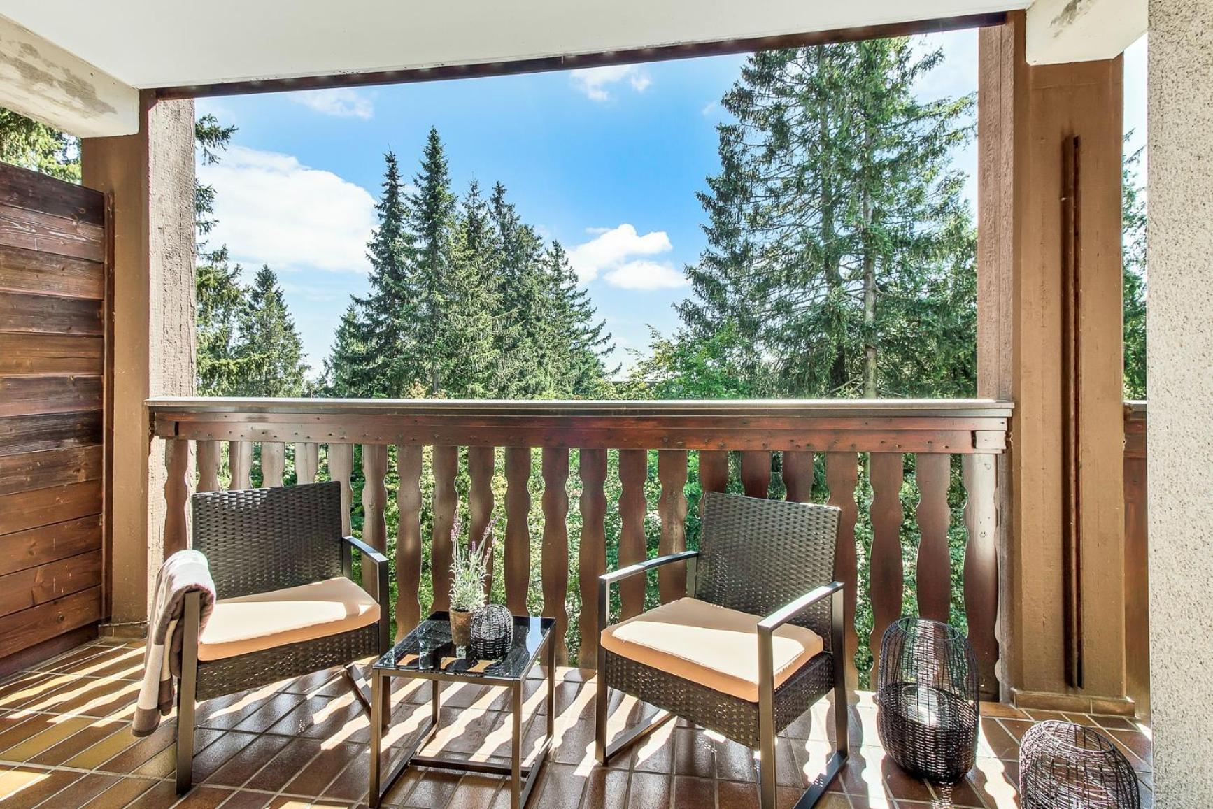 2 Bedroom Apartment Tokio And Sauna, 100M To Ski And Bikepark Winterberg Exteriér fotografie